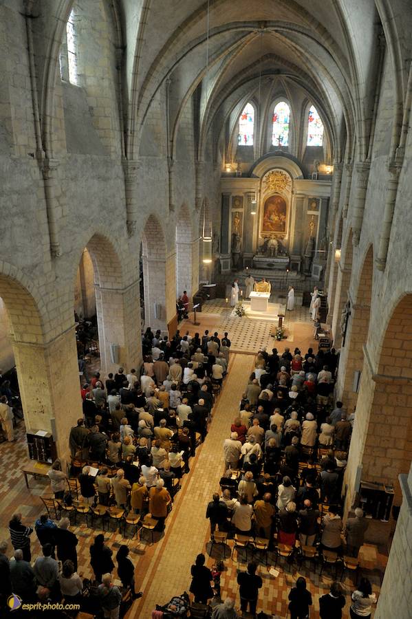 Nom de l'image : D30080027_1_(c)Norbert-JUNG — Description :